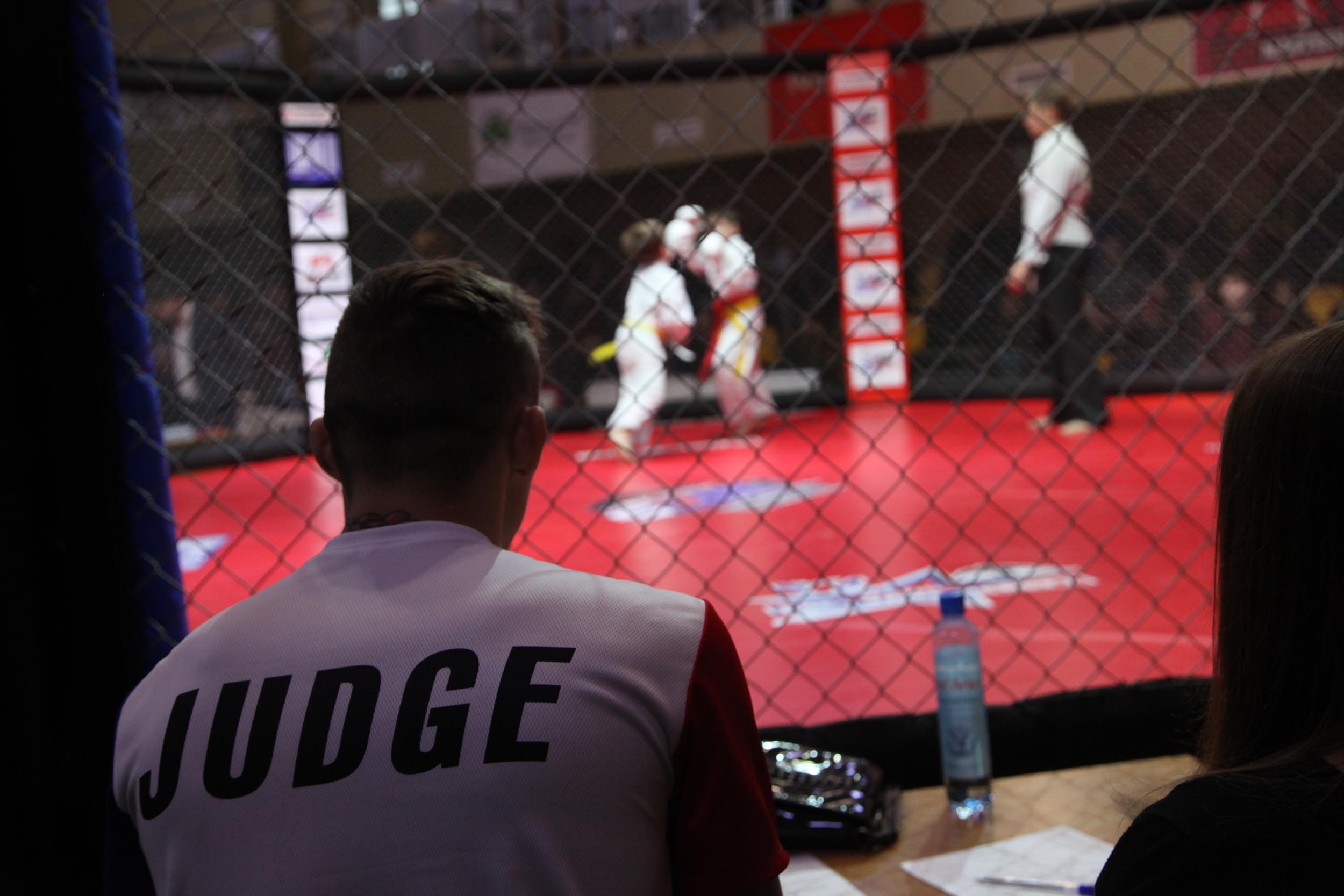 В Донецке проходит турнир по смешанным единоборствам (фото)