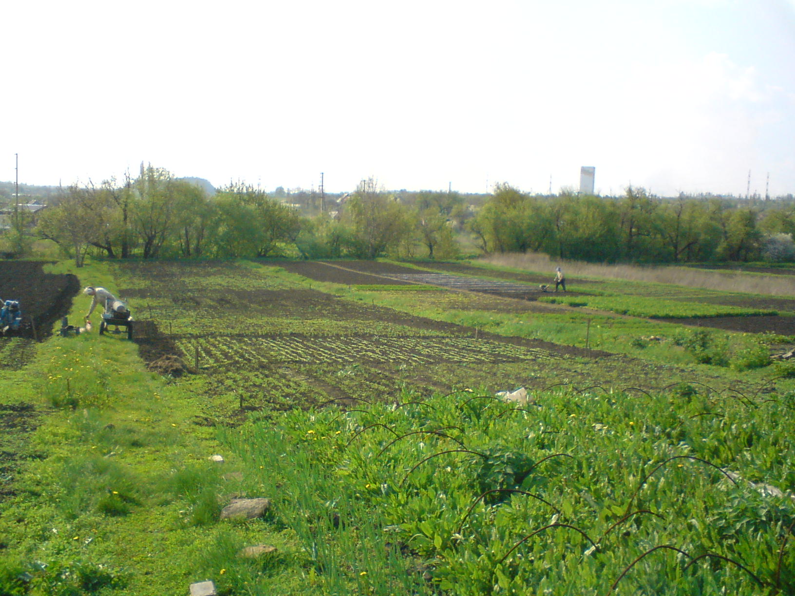 Емкость Днр Купить