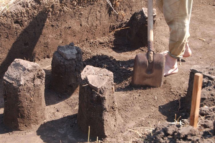 Археологи Донецкого краеведческого музея ведут раскопки в районе села Великая Шишовка (фото)
