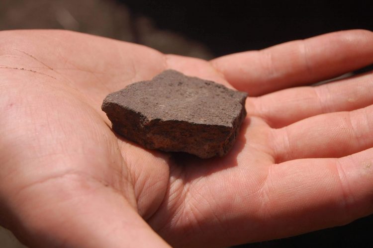 Археологи Донецкого краеведческого музея ведут раскопки в районе села Великая Шишовка (фото)