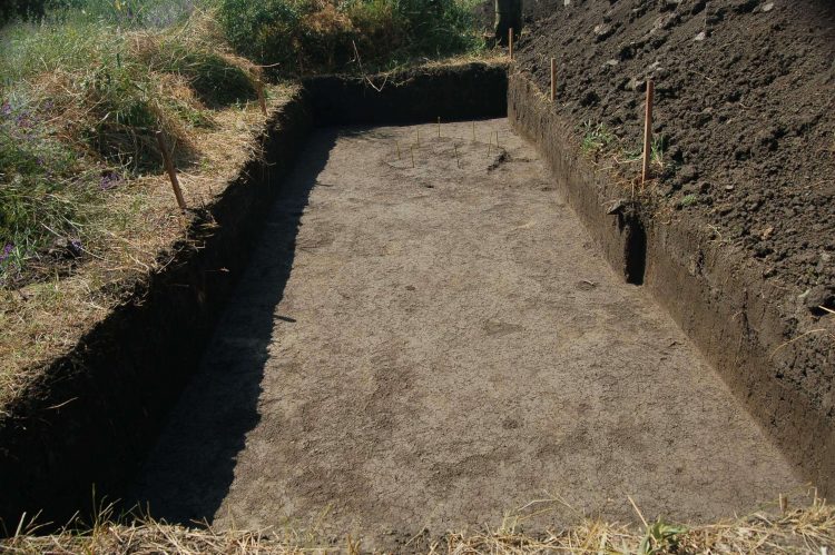 Археологи Донецкого краеведческого музея ведут раскопки в районе села Великая Шишовка (фото)