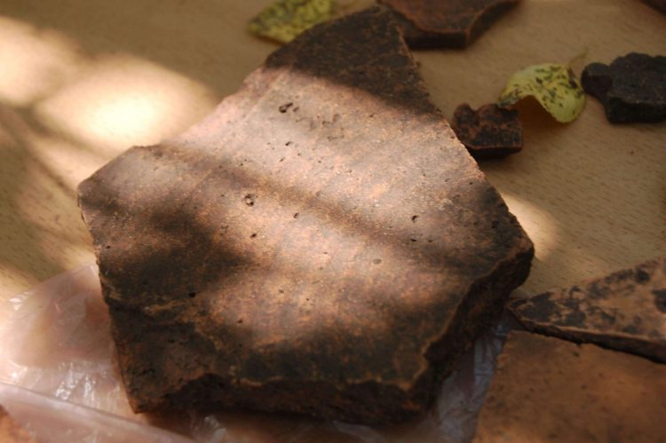 Археологи Донецкого краеведческого музея ведут раскопки в районе села Великая Шишовка (фото)