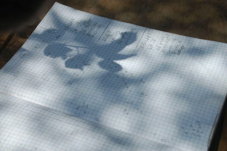 Археологи Донецкого краеведческого музея ведут раскопки в районе села Великая Шишовка (фото)