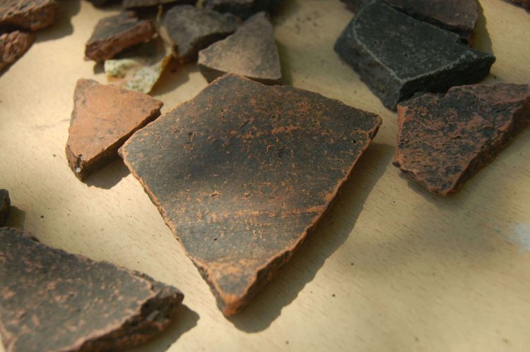 Археологи Донецкого краеведческого музея ведут раскопки в районе села Великая Шишовка (фото)