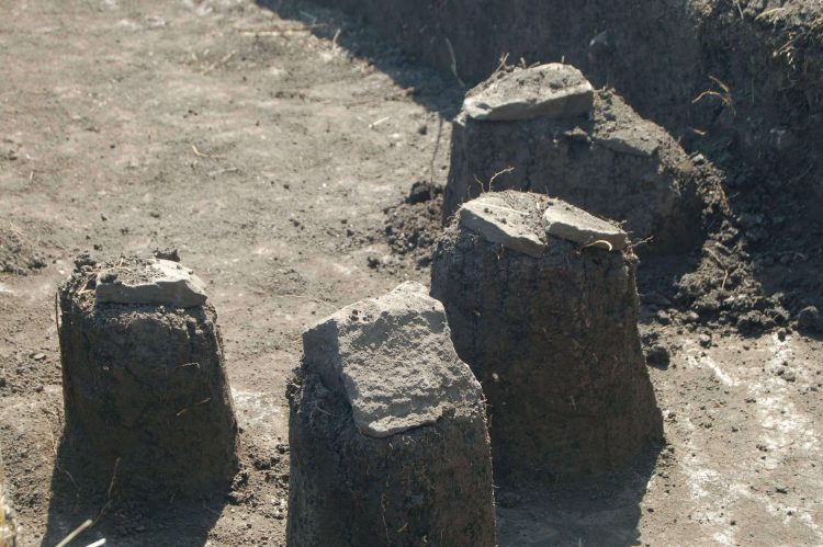 Археологи Донецкого краеведческого музея ведут раскопки в районе села Великая Шишовка (фото)