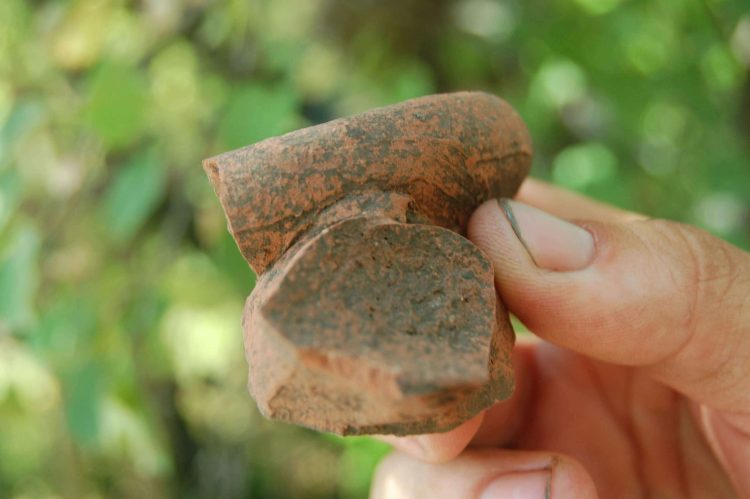 Археологи Донецкого краеведческого музея ведут раскопки в районе села Великая Шишовка (фото)