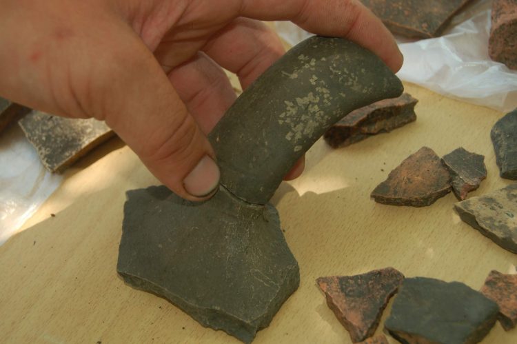 Археологи Донецкого краеведческого музея ведут раскопки в районе села Великая Шишовка (фото)