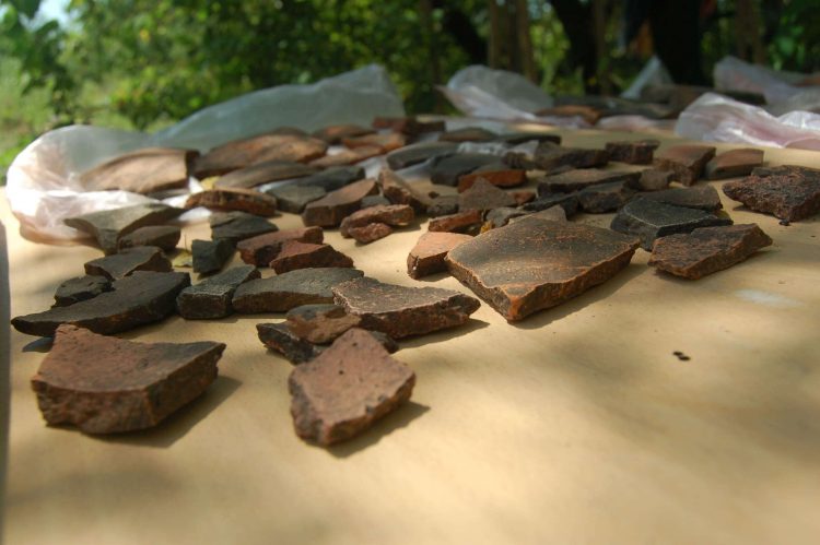 Археологи Донецкого краеведческого музея ведут раскопки в районе села Великая Шишовка (фото)