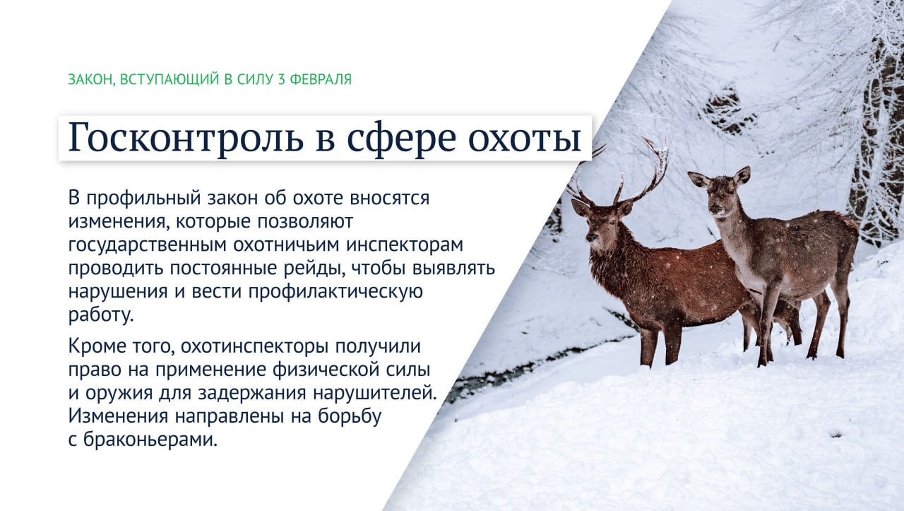 С 1 февраля вступает. Закон об охоте. Законы февраля. Законы вступающие в силу в феврале. Февральские законы.