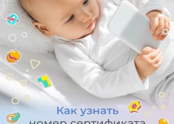 Как узнать номер сертификата, размер и остаток средств материнского капитала?