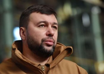 Денис Пушилин допустил, что Президент в послании затронет тему развития новых регионов