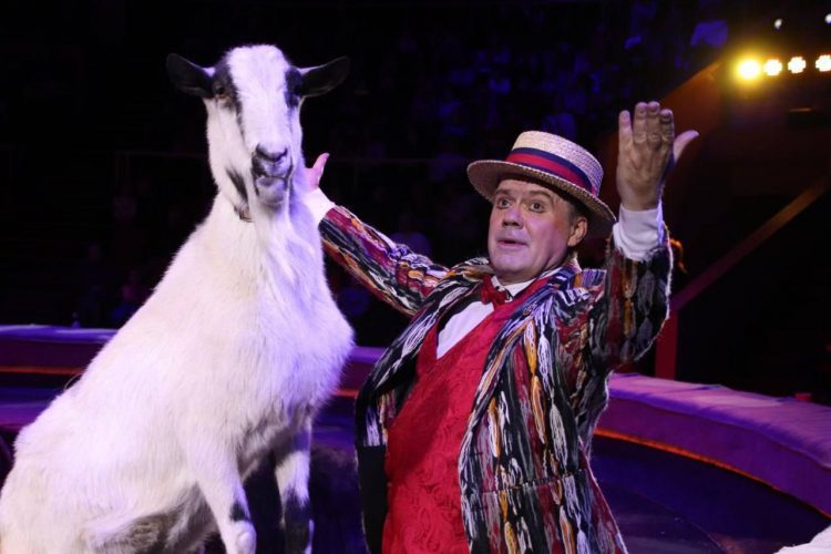 Новогодние представления Росгосцирка увидели более 48 тысяч жителей ДНР