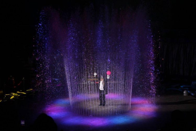 Новогодние представления Росгосцирка увидели более 48 тысяч жителей ДНР