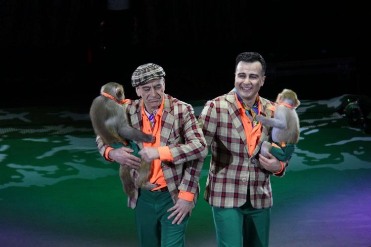 Новогодние представления Росгосцирка увидели более 48 тысяч жителей ДНР