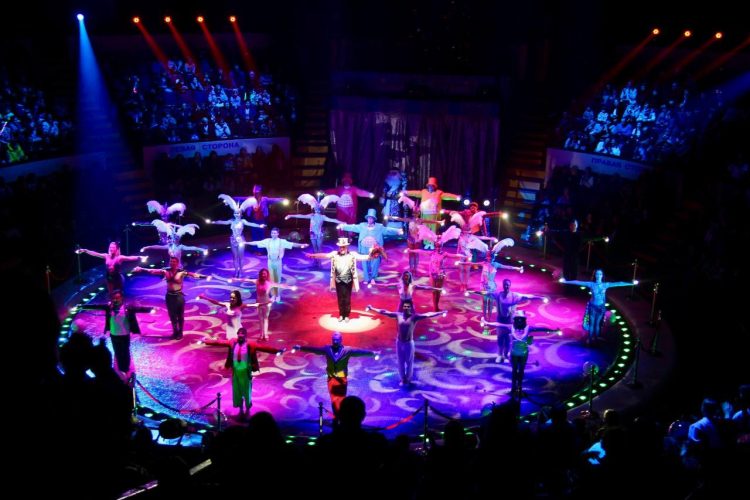 Новогодние представления Росгосцирка увидели более 48 тысяч жителей ДНР