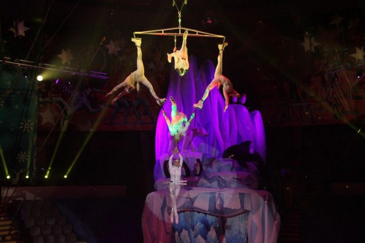 В Донецке прошли премьеры гастрольных программ Росгосцирка