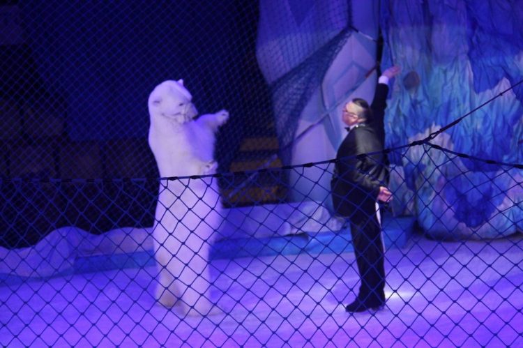 В Донецке прошли премьеры гастрольных программ Росгосцирка