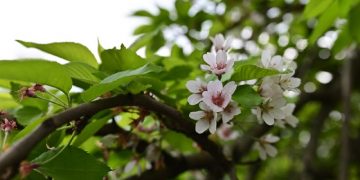 Майские праздники без вреда для здоровья