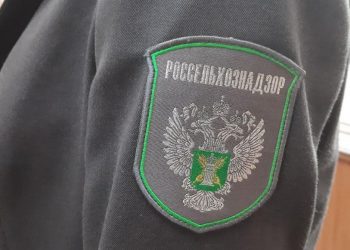 Россельхознадзор обнаружил нарушения ветеринарных норм на птицефабрике в ДНР