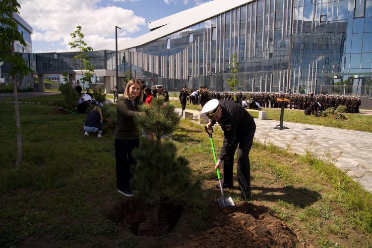Курсанты Нахимовского училища в Мариуполе высадили сосны в рамках акции «Сад Памяти»