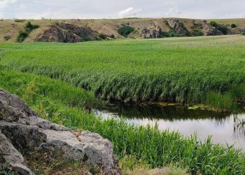 Учёные исследуют экологию воссоединённых регионов для «Белой книги»