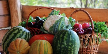 Как правильно хранить фрукты, овощи и зелень: секреты долгого сохранения свежести