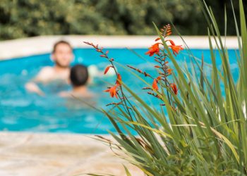 Как правильно ухаживать за каркасным бассейном?