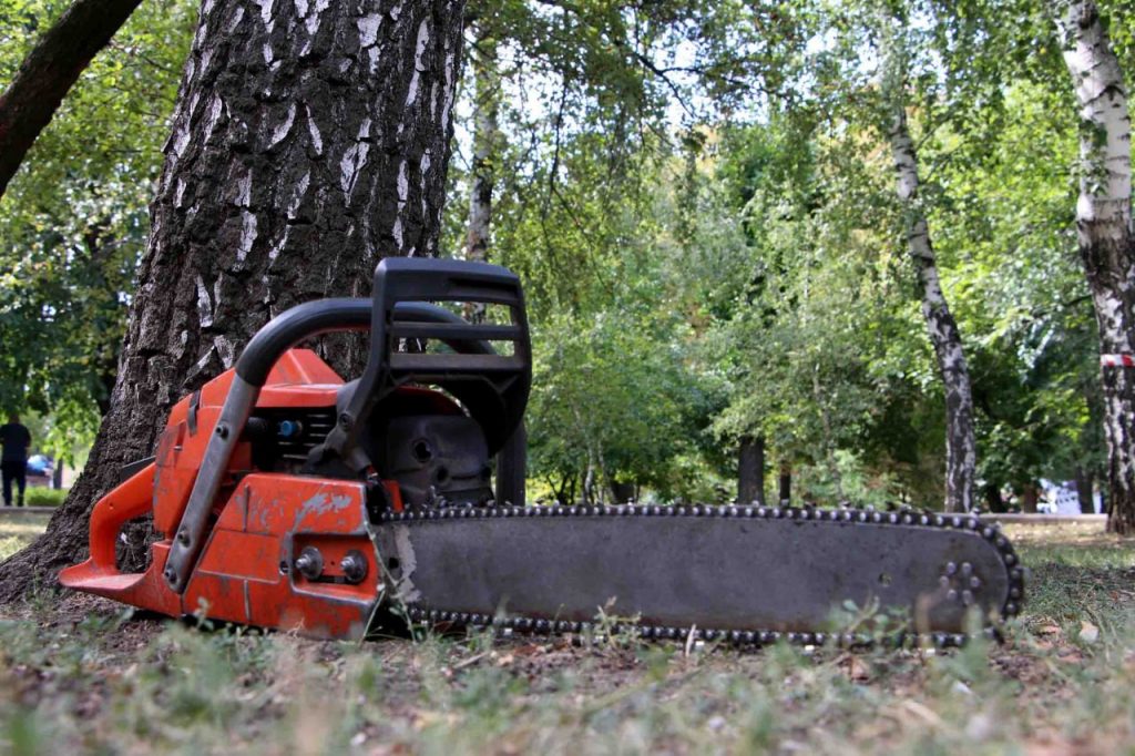 бензопила, спил аварийных деревьев и обрезка, кронирование