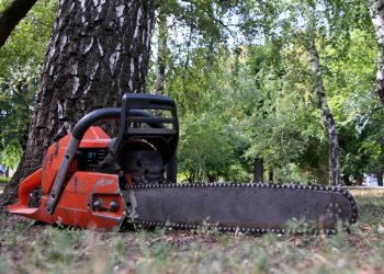 бензопила, спил аварийных деревьев и обрезка, кронирование