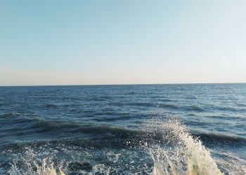 Опреснять и использовать воду из Азовского моря нецелесообразно — Денис Пушилин