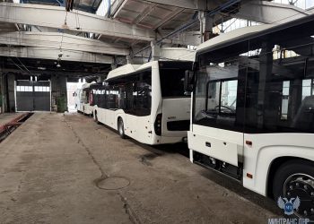 Автопарк общественного транспорта ДНР пополнился ещё восемью автобусами большой вместимости