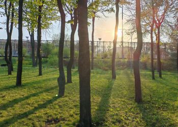 В воссоединенных регионах высадят «Народные парки»