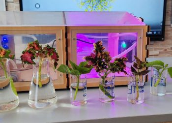 В школах ДНР работают 398 специализированных классов различных направлений