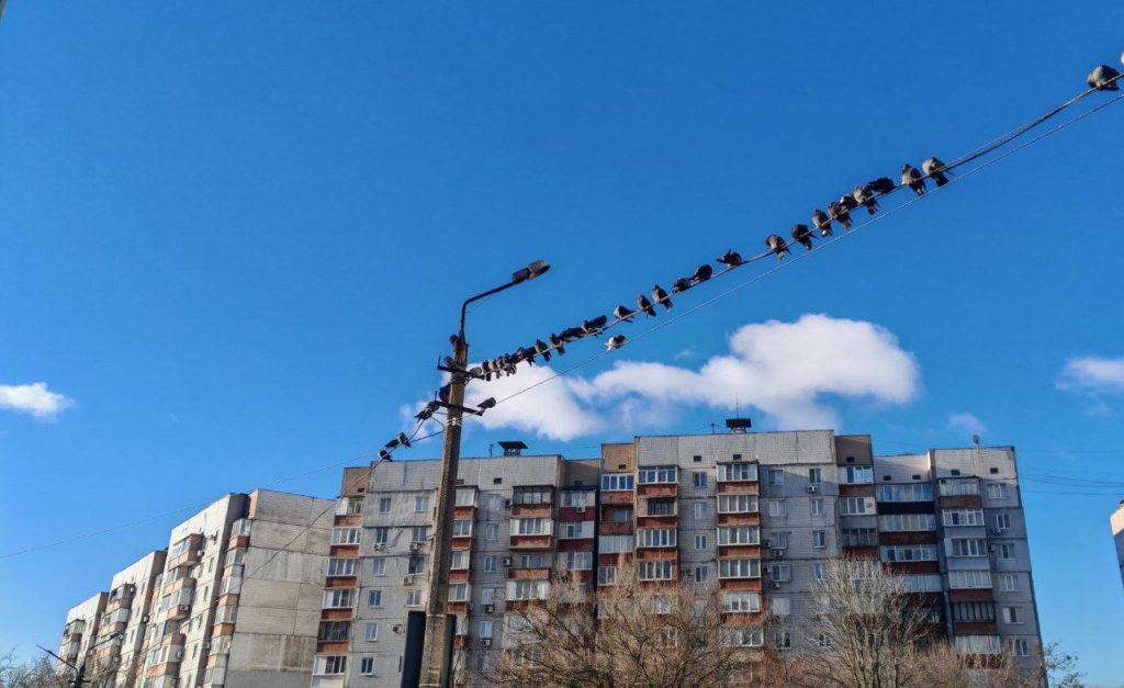 Птицы сидят на проводах, многоквартирный дом в Донецке, Текстильщик, ДНР