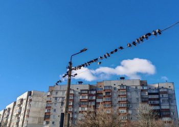Птицы сидят на проводах, многоквартирный дом в Донецке, Текстильщик, ДНР