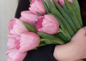 букет розовых тюльпанов