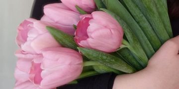 букет розовых тюльпанов