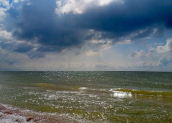 ЕИПП разработал план развития территории вдоль Азовского моря между сёлами Широкино и Безыменное