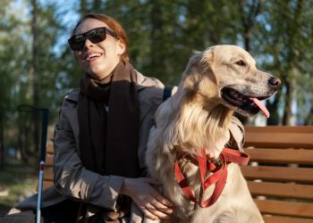 Как инвалиду по зрению получить собаку-поводыря?