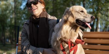 Как инвалиду по зрению получить собаку-поводыря?