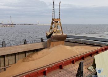 Из порта Мариуполя с начала года отправили пять судов с пшеницей общим объёмом более 36 тысяч тонн