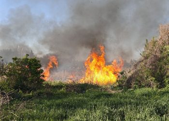 Рослесхоз: с начала года в России зафиксировано более 15 тысяч термоточек