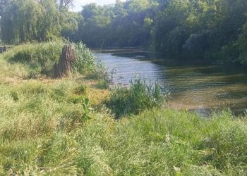 В районе города Комсомольское начали расчистку пяти километров русла реки Кальмиус